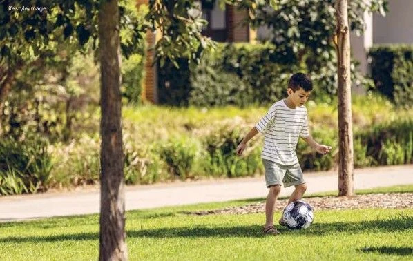 MELROSE CENTRAL – NHỊP SỐNG MỚI TẠI MELROSE PARK, SYDNEY
