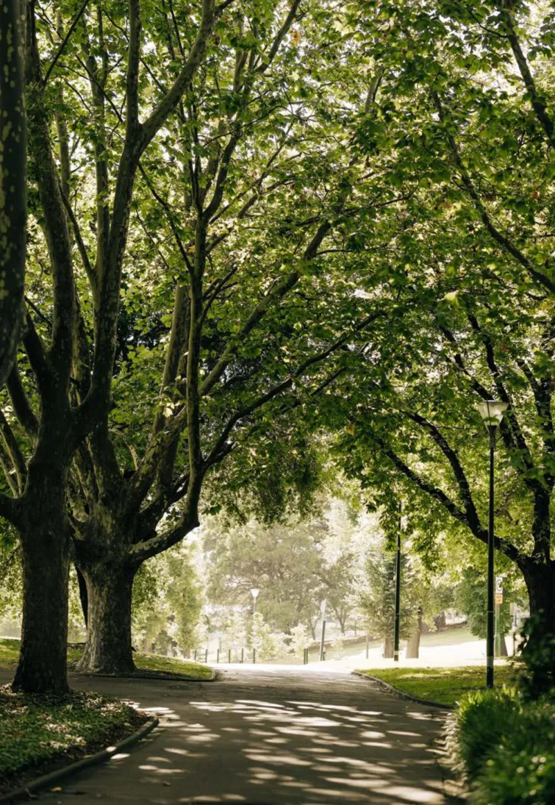 Melbourne Square - 35